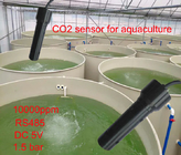 Ποιότητα νερού RS485 IP68 που ελέγχει το διαλυμένο αισθητήρα του CO2 για την υδατοκαλλιέργεια 10000PPM